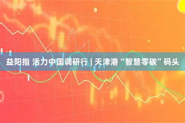 益阳指 活力中国调研行 | 天津港“智慧零碳”码头
